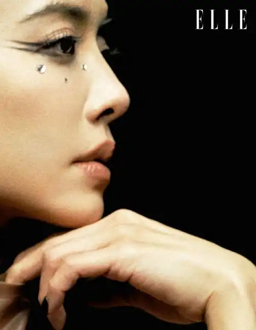 蔡依林elle封面大片