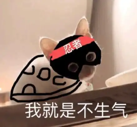 我就是不生气(猫咪表情包)_猫咪_生气_就是表情