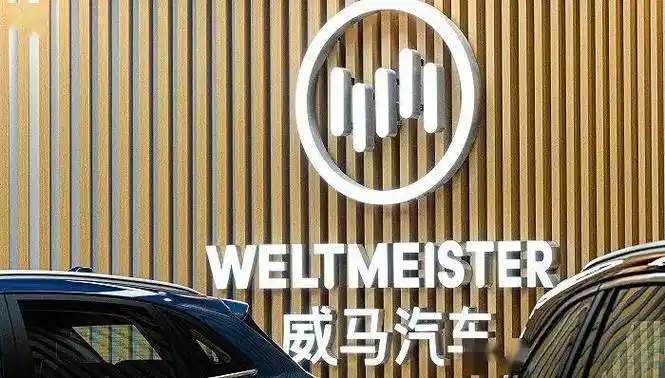 威马汽车申请破产重整后,10万车主售后问题悬置_搜狐汽车_搜狐网