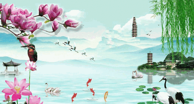 640_343gif 动态图 动图