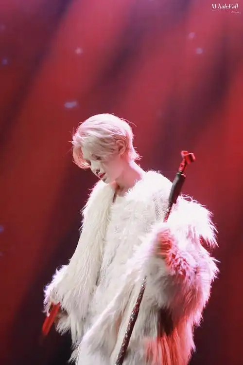 黄明昊贾想世界演唱会