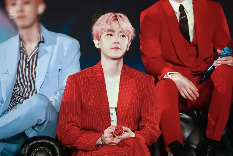 伯贤- 堆糖,美图壁纸兴趣社区