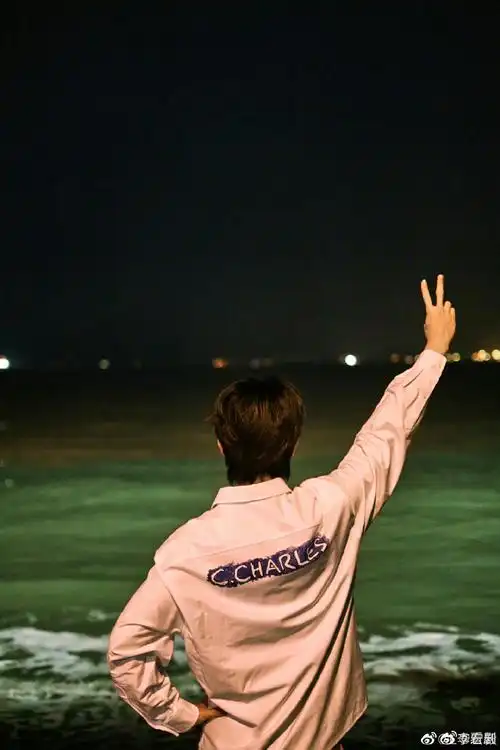 李宏毅海边比耶背影照