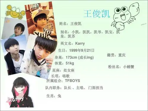 tfboys小童鞋ppt