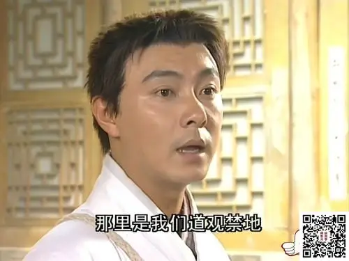 中国内地2001少年张三丰张卫健李冰冰李小璐40集全国语中字mp4每集约