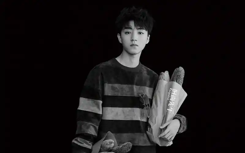 王俊凯帅气写真大片桌面壁纸