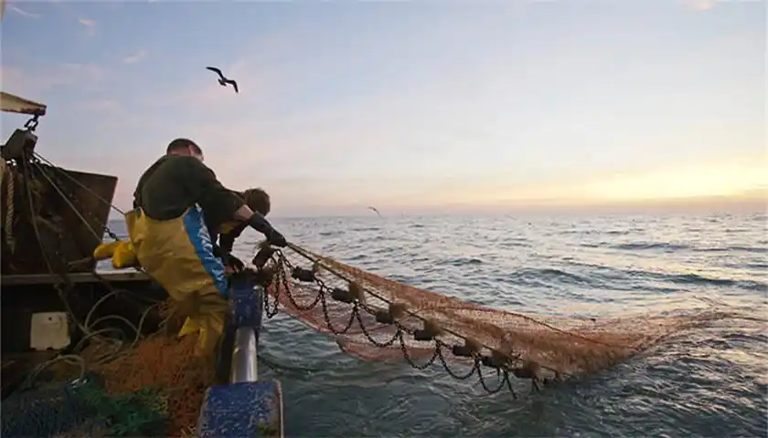 中国正式实施公海自主休渔能否成长效举措尚待评估