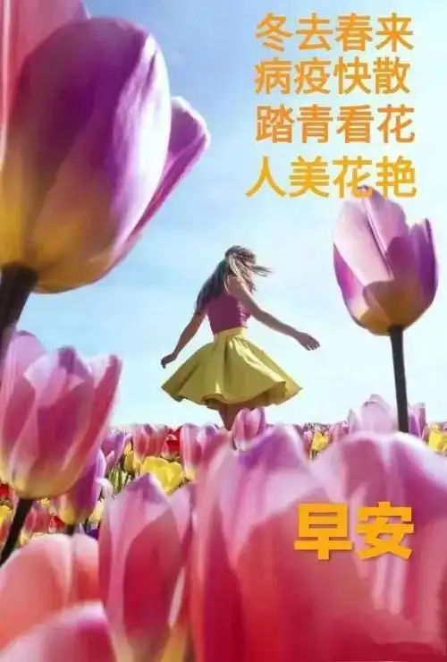 早安祝福美图早安暖心十言