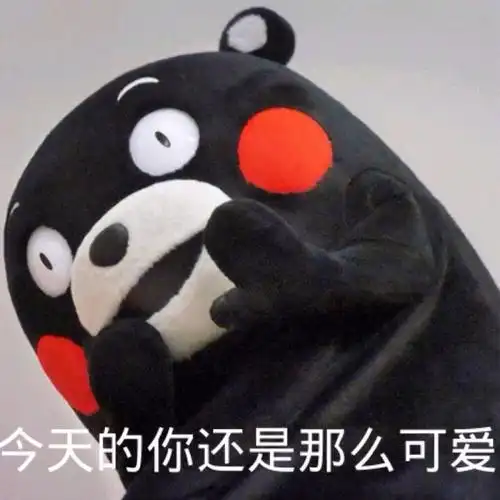 部长表情包 熊本熊 kumamon 熊本熊表情～ 今天的你还是那么可爱