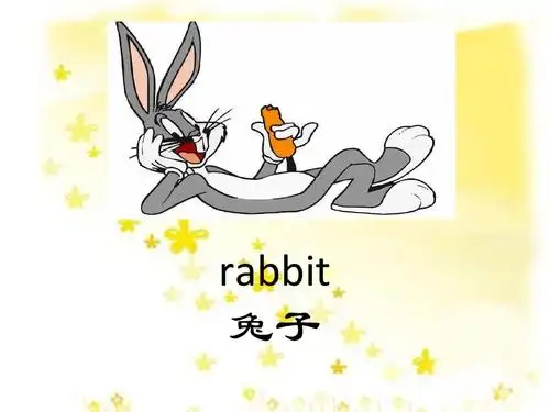 rabbit 兔子