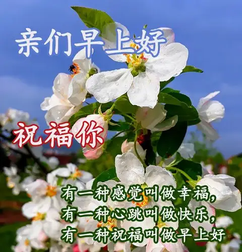 原创2021年春暖花开早安问候美丽图片充满祝福早上好祝福语温馨朋友圈