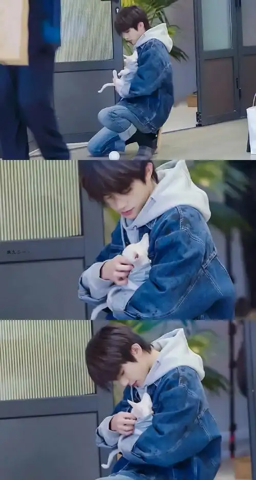 易烊千玺三格图 - 堆糖,美图壁纸兴趣社区