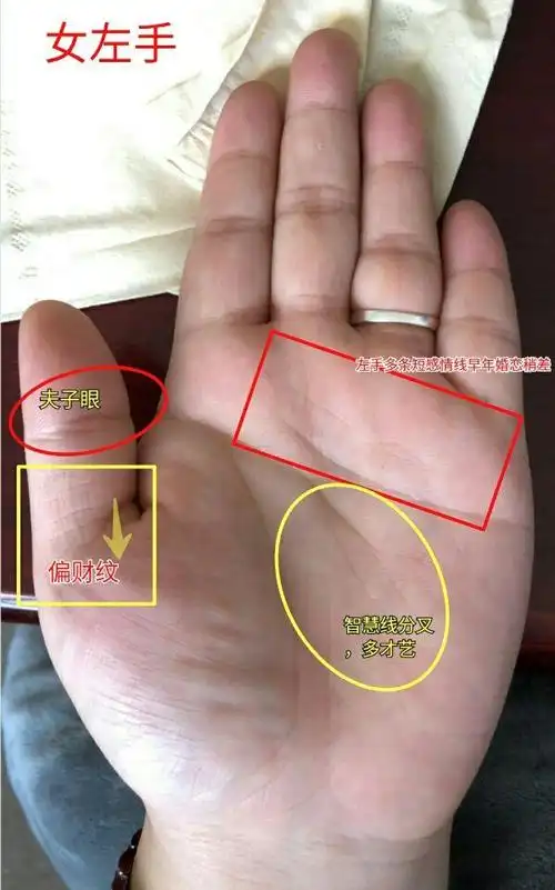 掌纹图解富贵十足旺夫益子的掌纹特征