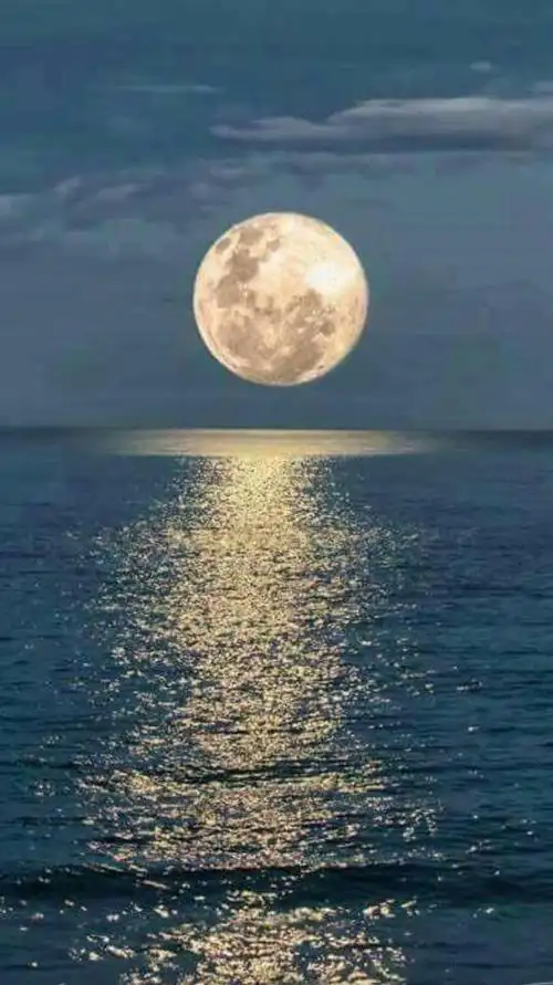 超级月亮来了 最美摄影图都在这里 | 国际新闻 | 新西兰先驱报中文网