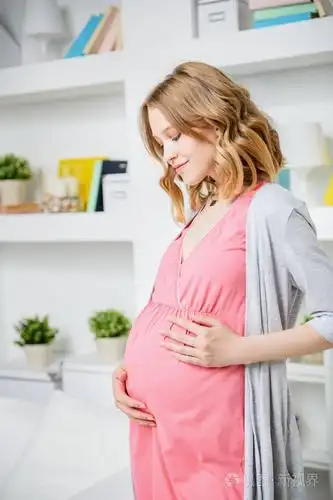 怀孕和母性.孕妇时尚