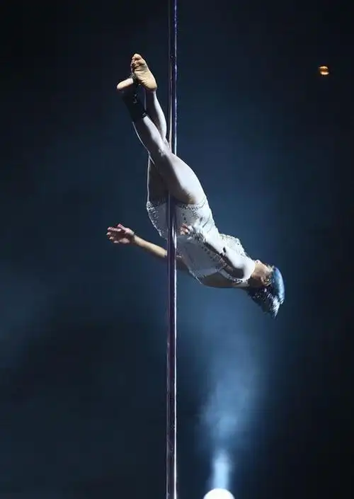 蔡依林巡演高雄收尾 秀钢管舞搏命演出图片