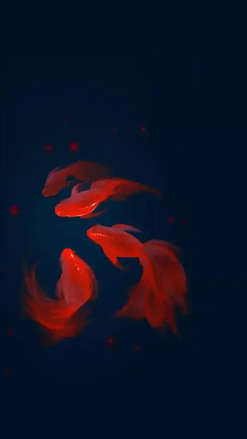 有哪些百看不厌的锦鲤壁纸? - 知乎