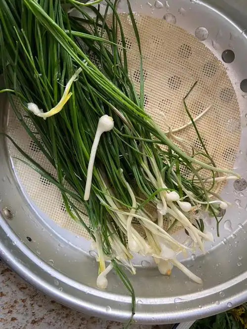 图一野蒜,图二是蒲公英花和野豌豆尖,图三是益母草,图四是茵陈,姐妹们