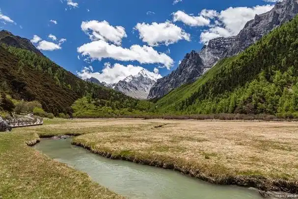 亚丁自然保护区,高山草甸与冰川雪峰的交汇之地
