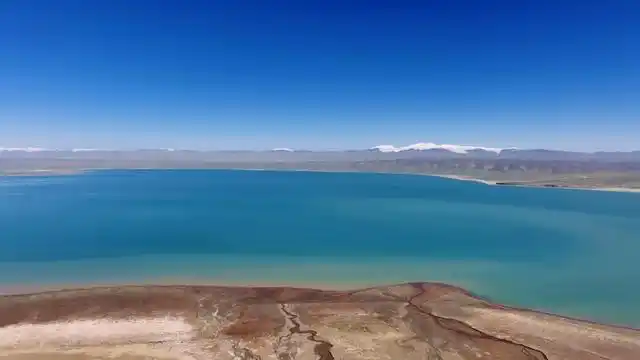 看可可西里大美天地 纪录片《我们的生物多样性——卓乃湖》上线