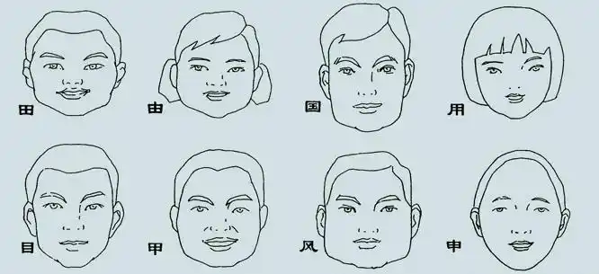 以表现人的头部为例,首先就应该把握人的脸型特征.