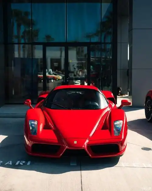 【图】两枚红色旗舰法拉利enzo / laferrari,_法拉利论坛_汽车之家论