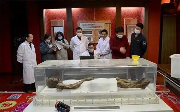 02年江苏挖出一副千年木棺棺中女尸尸身未腐五脏六腑保存完好