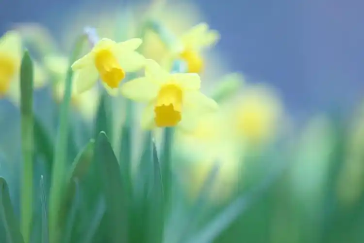 有无好看的开机壁纸和电脑屏保? - 知乎