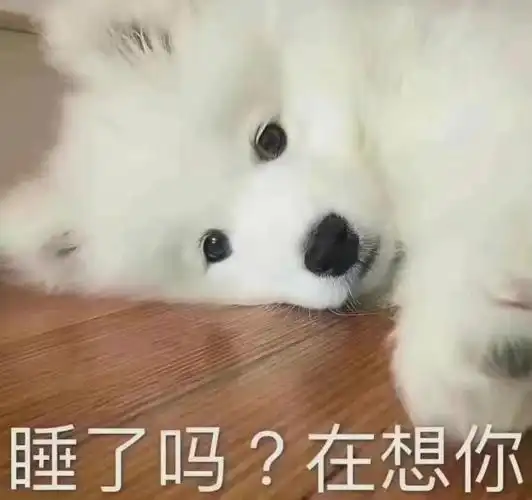 一个古灵精怪超会撩小甜豆弟弟重生,已婚,非abo生崽,开篇自带瑀鹅cpn