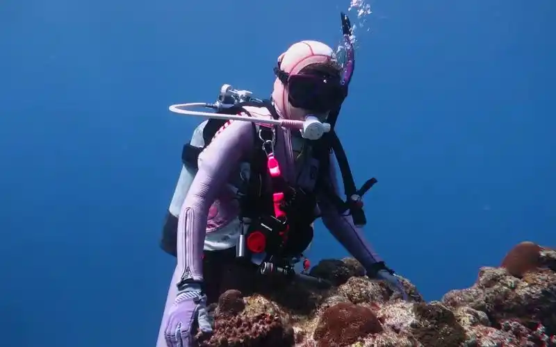 中性浮力不行的美女潜水员都喜欢趴礁石上