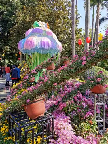 广州文化公园花展