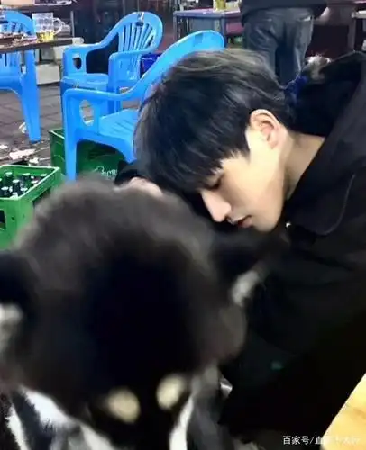 小鲜肉帅哥系列,你们喜欢这种"小奶狗"类型的男孩子吗?