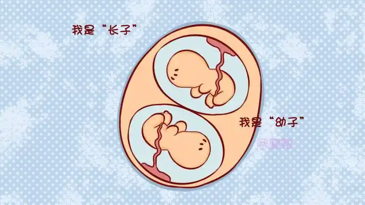 双胞胎宝宝谁先出来谁就是老大?妇产科医生:那可不一定!