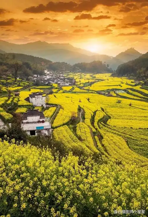 春天拍什么拍这6样让你不负美好春光