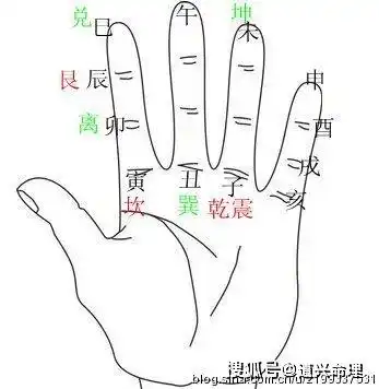 掌上起卦排地支