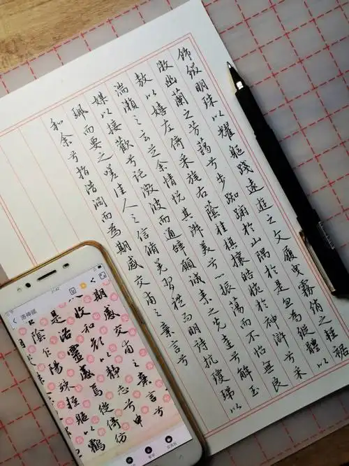 硬笔行书临帖洛神赋回归p3