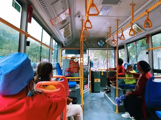 36/365 每日一图:下班后的公交车里