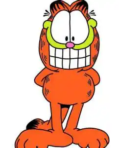 波斯猫的英文波斯猫英文怎么写波斯猫用英语怎么说