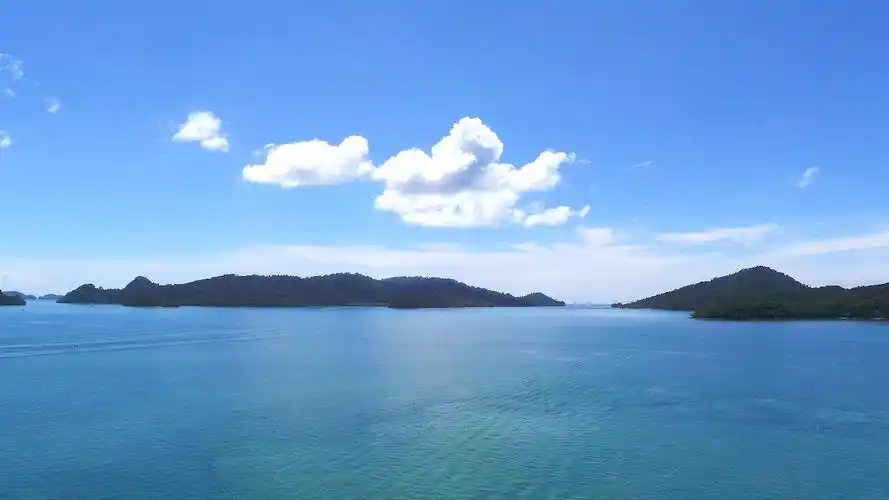 能让人心情阳光的图片