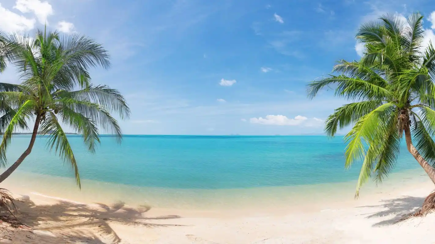 漂亮,椰子树,自然,风景,大海,沙滩,天空壁纸_风景壁纸_墨鱼部落格