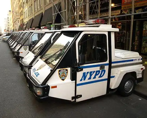 nypd! nypd!