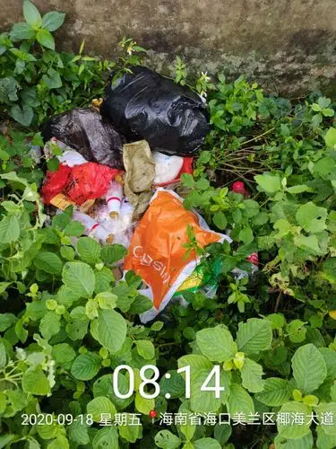 2.4儒教村道路一侧有烟蒂,烟盒,果皮,纸屑及塑料垃圾.08