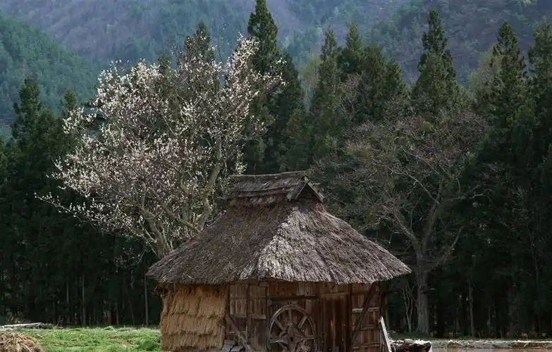 不信邪的他们就追寻着烟来到了一处茅草屋,这个矗立