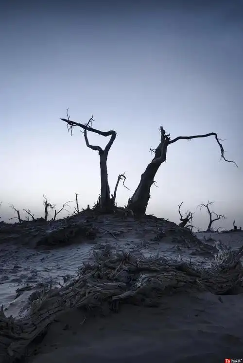 刘厚宇旅行摄影荒凉与沧桑
