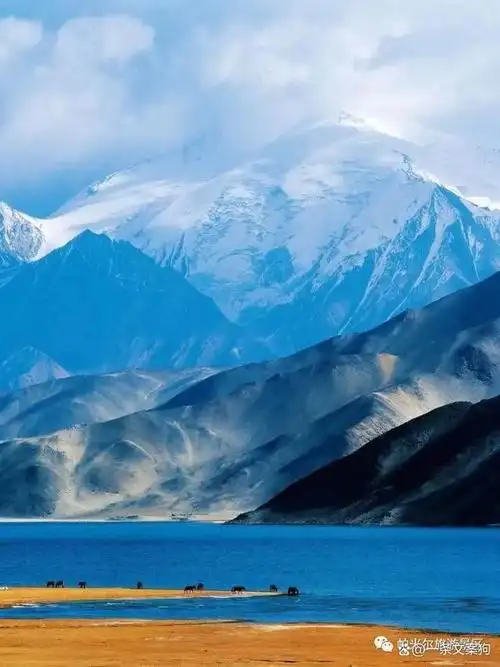 新疆令人向往,以下是小编整理最美的八个旅游景