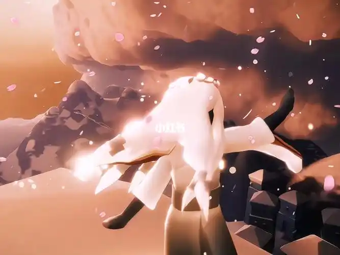 光遇sky雨妈mf一只刀子晚