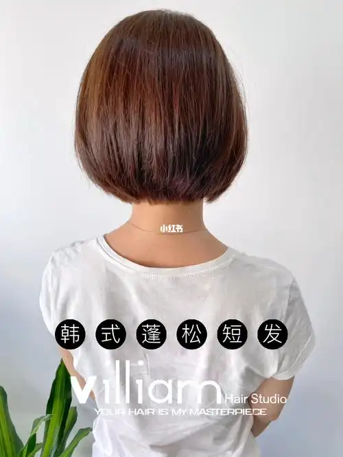 韩式蓬松短发剪和染色而已