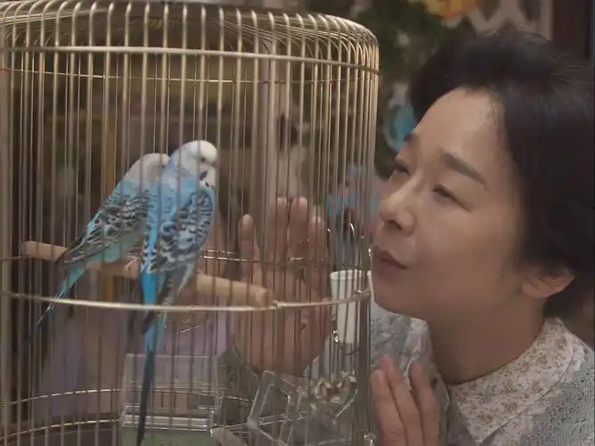 【mother】田中裕子|得知母亲身患重疾(e09.1)