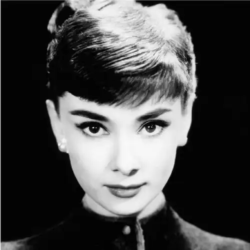 doctype html> html lang="zh-cn"> head> meta