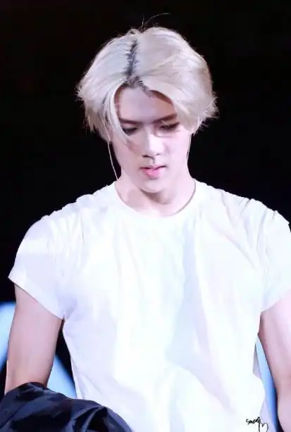exo的门面担当吴世勋,白发的样子和前面几位潮流型的完全不同,中分的